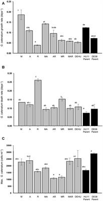 Bacterial Associates Modify Growth Dynamics of the Dinoflagellate Gymnodinium catenatum